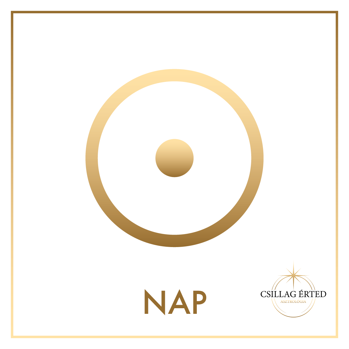 nap logos
